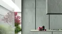 Iron