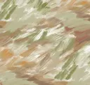 Arizona