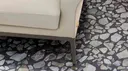 Dark Shards
