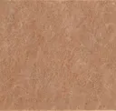 244_coral Blush