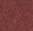 242_coral Red
