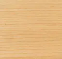 Elm