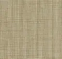 Sahara