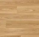 American Oak