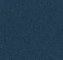 Moody Blue