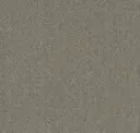 Subtle Sepia