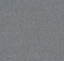 Goofy Gray