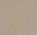 Tundra
