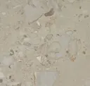 Tundra