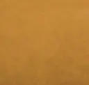 Sahara