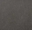 Graphite