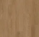 Cedar