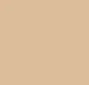 Bahamas Beige