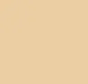 Kalahari Beige