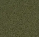 Green Olive