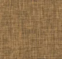Bamboo Bark