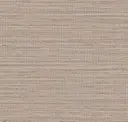 Canyon