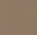 Rusty Copper