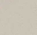 Taupe Tide