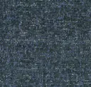 Blue Weevil