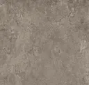 Coal