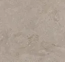 Tundra