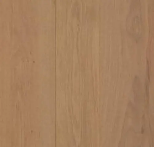 Main