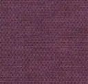 Grape