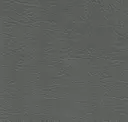 1009 Grey