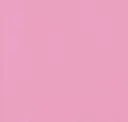 4919 Pink