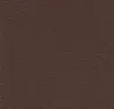 1272 Brown