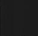 1337 Black