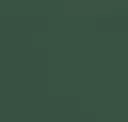 4932 Pine Green