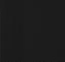848 Black