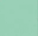 6318 Mint Green