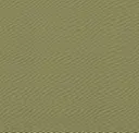 4828 Mystic Green