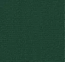 519 Bottle Green
