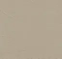 806 Beige