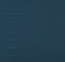 4838 Dark Blue