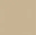 2004 Beige