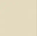 2024 Beige