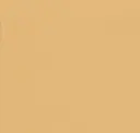 2789 Beige
