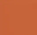3107 Orange