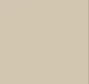 4600 Beige
