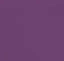 4100 Violet