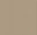 2106 Beige