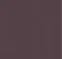 2110 Aubergine