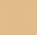 2118 Beige Orange