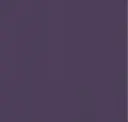 4969 Purple
