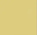 2134 Yellow